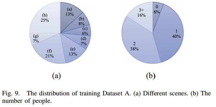 Dataset Distribution